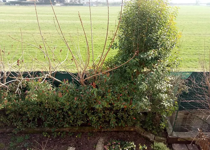 L'upupa فندق مبيت وإفطار