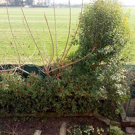 L'upupa Nocleg ze śniadaniem